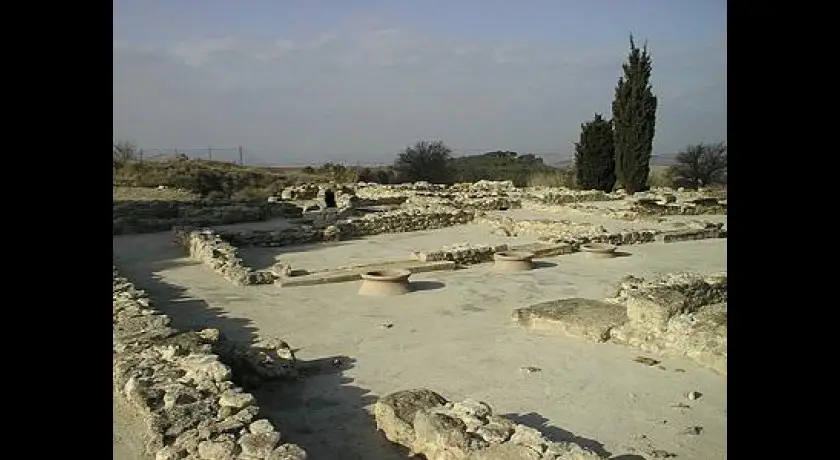 L'oppidum d'enserune, ancien village gaulois, et son musée