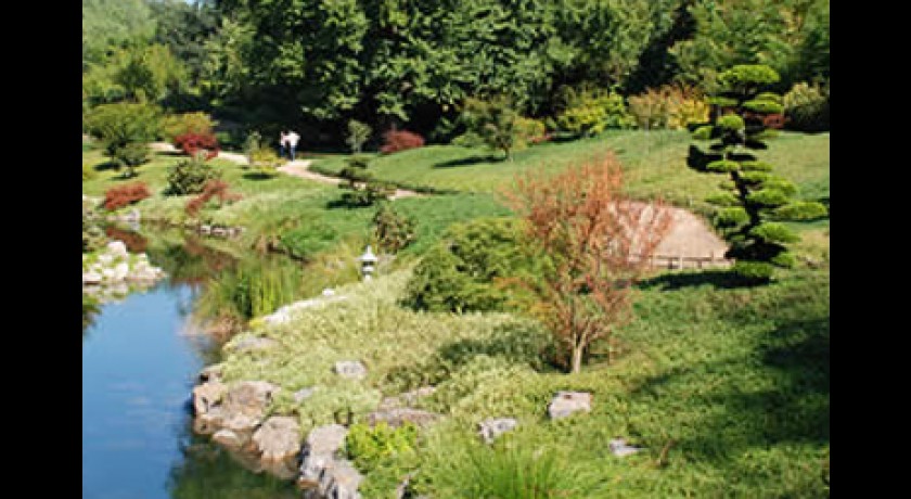 La bambouseraie de Prafrance