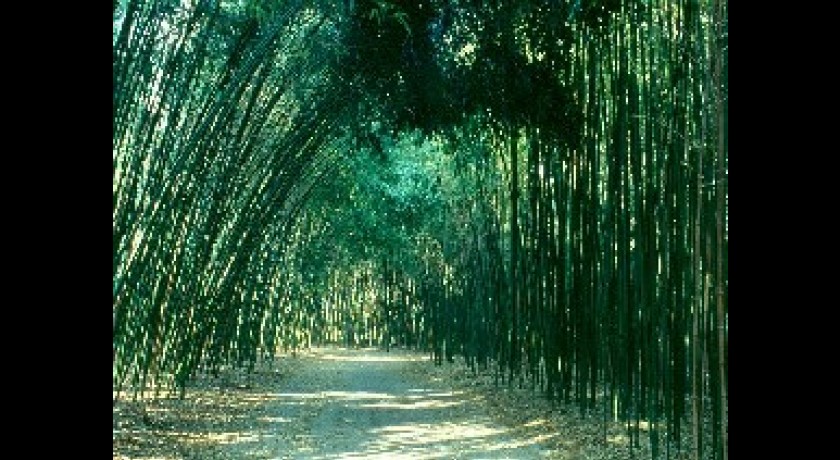 La Bambouseraie de Préafrance