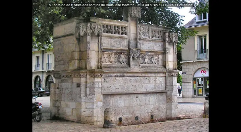 La Fontaine de l' Arsis des comtes de Blois, dite fontaine Louis XII à Blois (41)