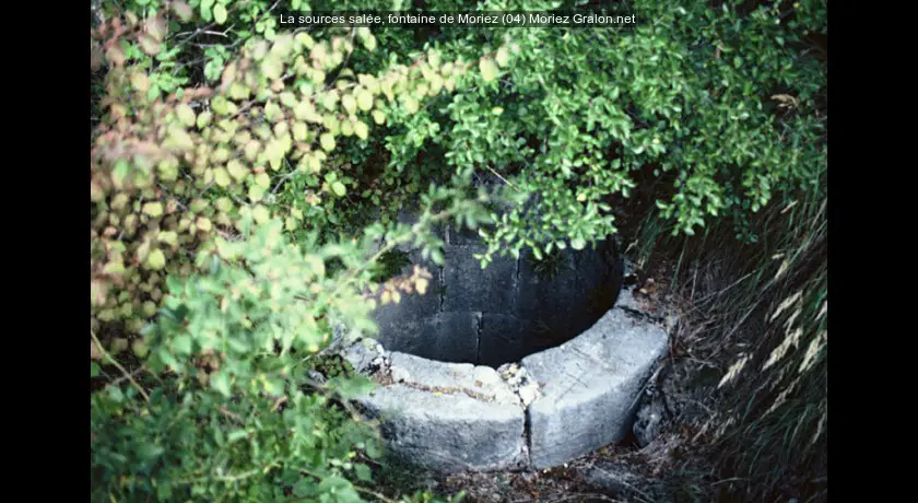 La sources salée, fontaine de Moriez (04)