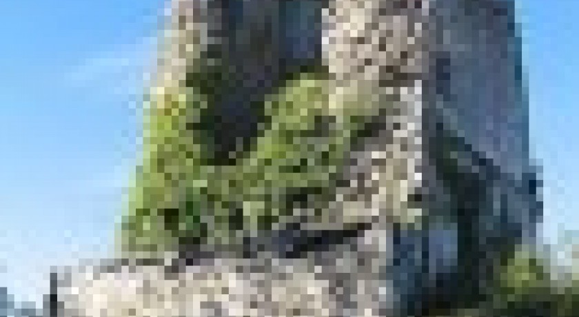 La tour de dramelay Arinthod tourisme