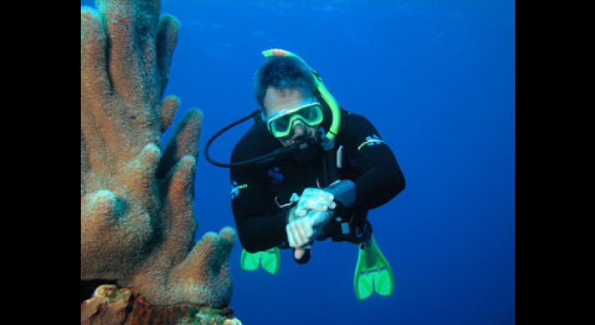 Le Baptême de Plongée