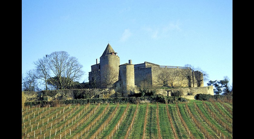 Le château fort de Benauges à Arbis, Gironde (33)