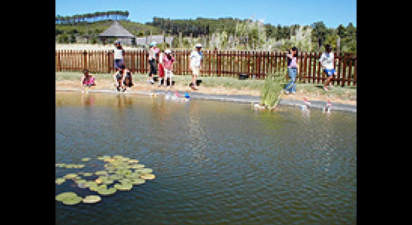 Le Jardin des Peyrollets