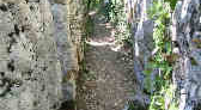 Le labyrinthe vert, promenade nature