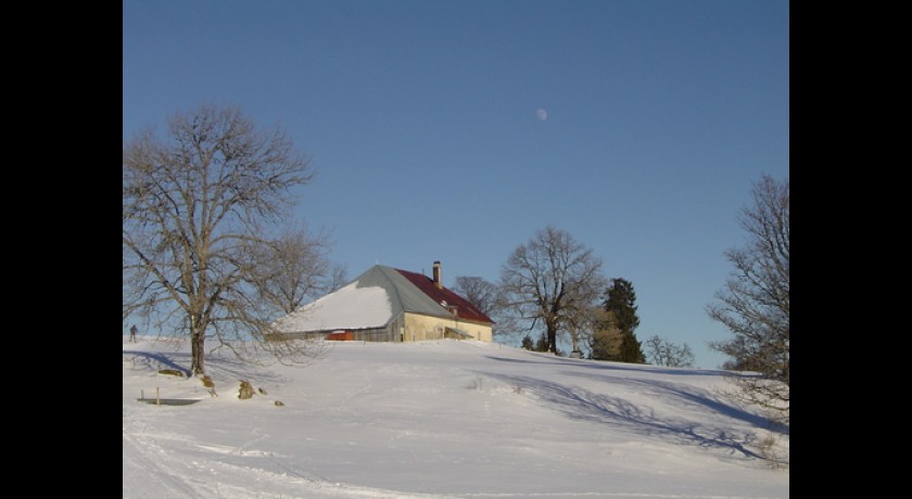 Le Mont de l'herba