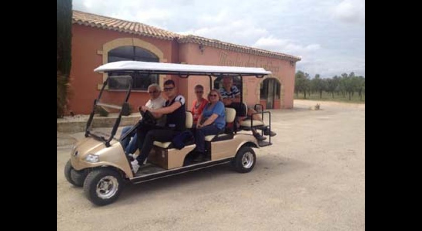 Le Moulin des Costières