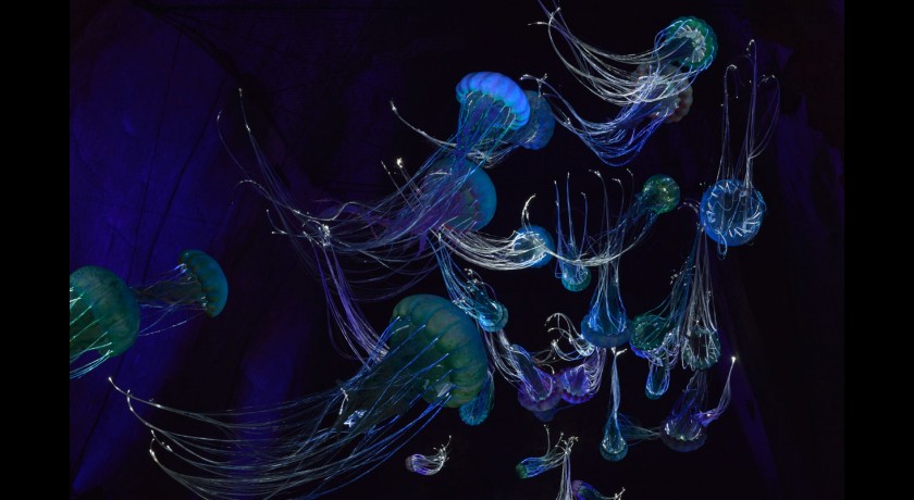 LE MYSTERE DES FALUNS - LES PERRIERES