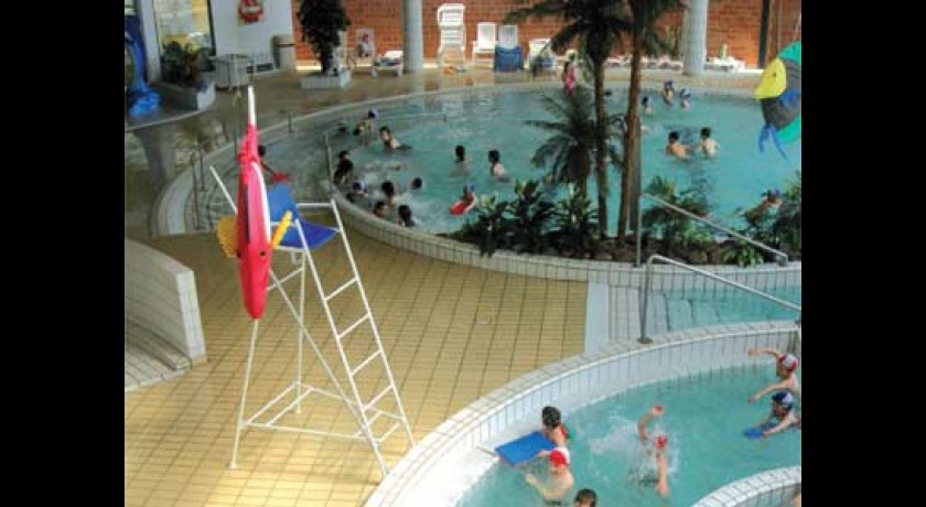 Les Aquatides