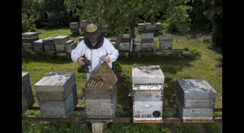 LES ATELIERS DE L'ABEILLE