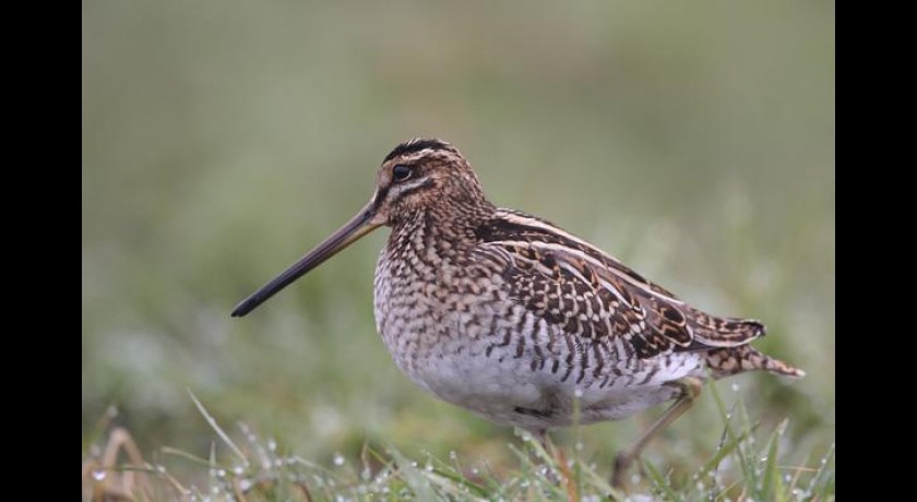 Maison de la Réserve 