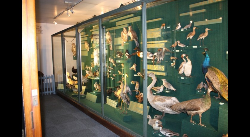 Maison de la Vie Sauvage et Musée de la Paléontologie