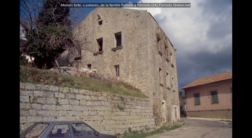 Maison forte, u palazzu, de la famille Forcioli à Forciolo (2A)