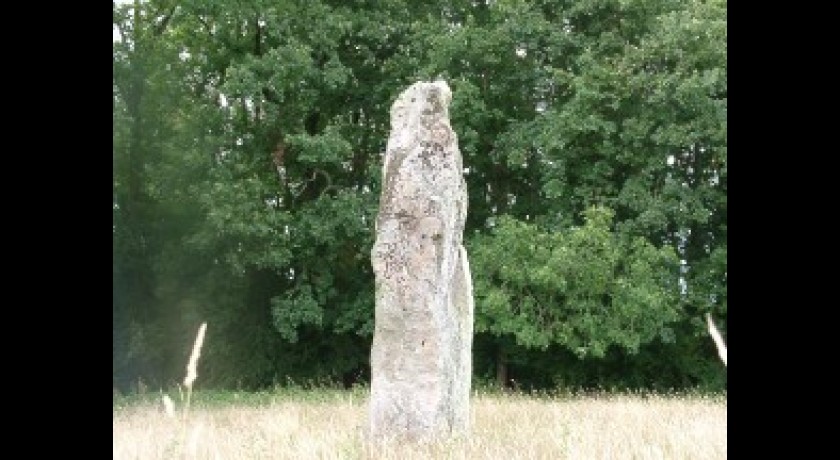 Menhir de la Haute-Borne