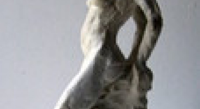 Mirabelle PILLEBOUT - Lignes et Matières