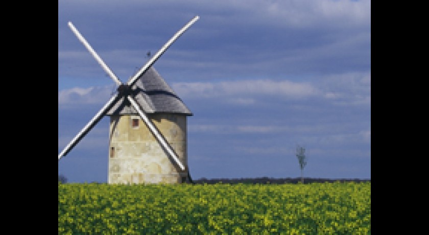 Moulin à Vent Dautin