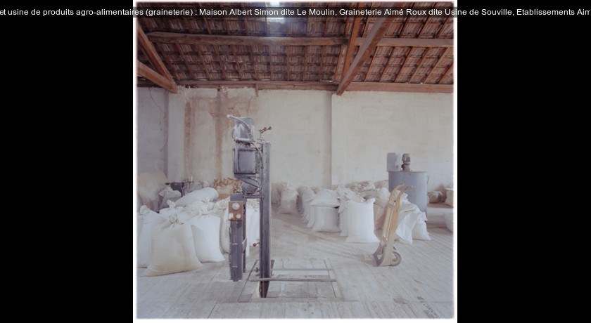 moulin puis usine de sélection de semences et usine de produits agro-alimentaires (graineterie) : Maison Albert Simon dite Le Moulin, Graineterie Aimé Roux dite Usine de Souville, Etablissements Aimé 