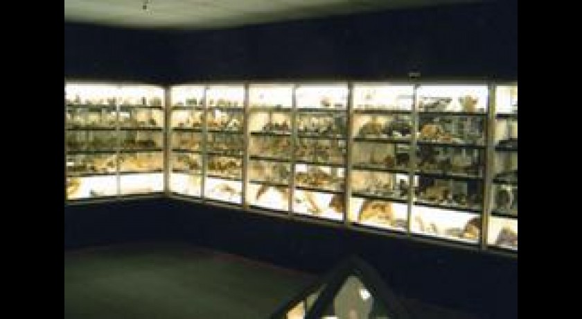 Musée de la Pierre Philosophale