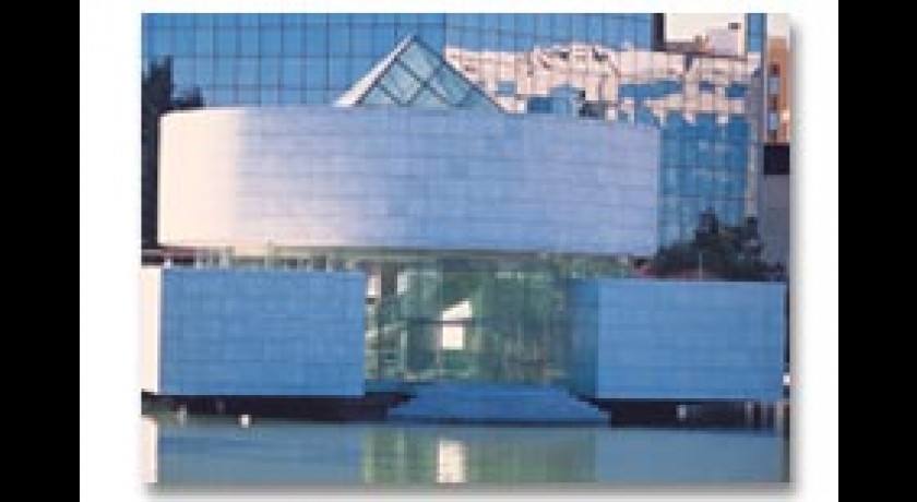 MUSEE DEPARTEMENTAL DES ARTS ASIATIQUES