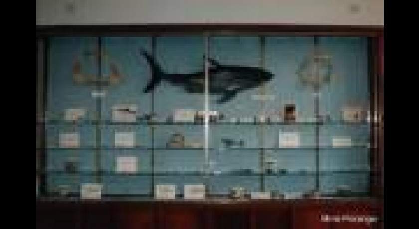 Musée du Savignéen