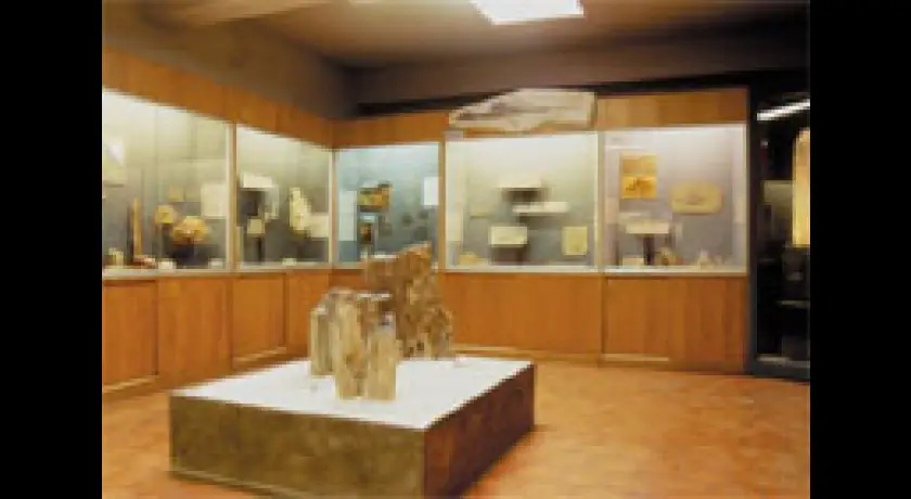 Musée Requien