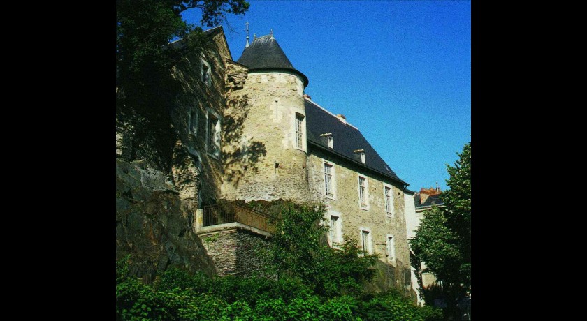 MUSEUM DES SCIENCES NATURELLES D'ANGERS