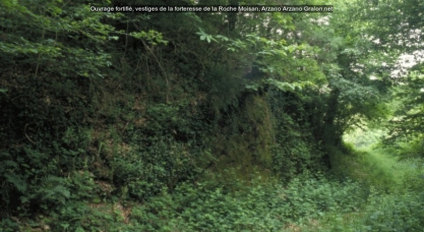 Ouvrage fortifié, vestiges de la forteresse de la Roche Moisan, Arzano