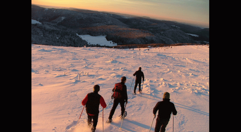 Oxygène Nature