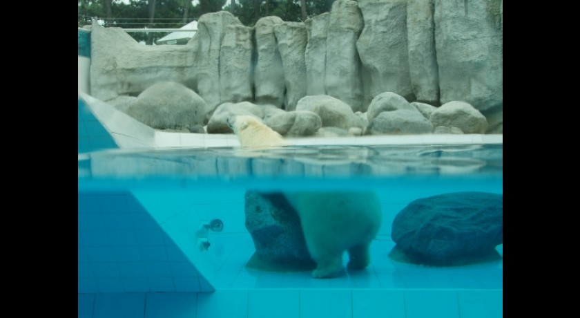 Parc animalier Atlantique