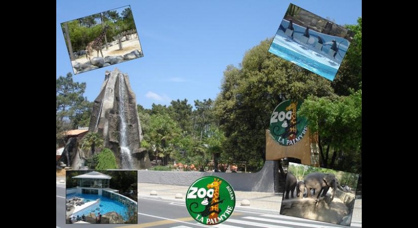 Parc Animalier de la Palmyre