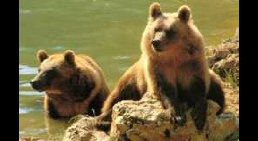 Parc animalier des Causses du Quercy