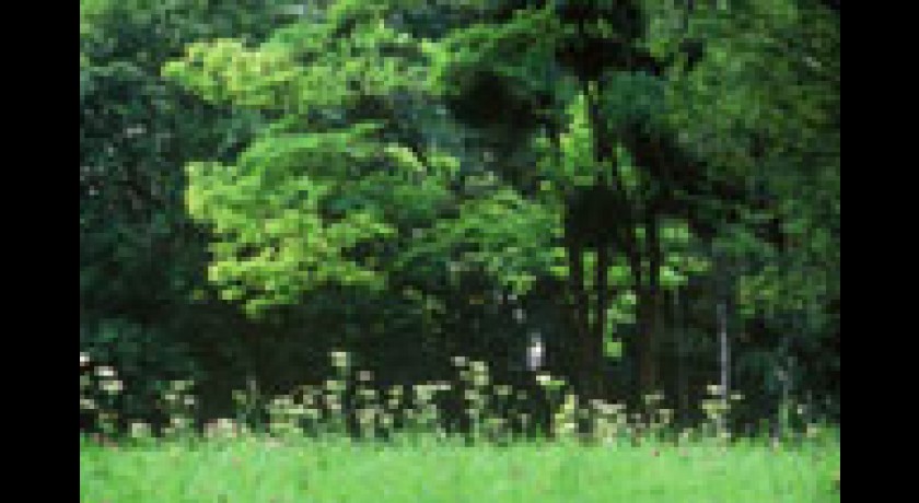 Parc départemental de la Fosse Maussoin