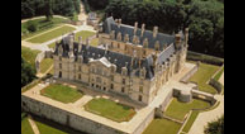 Parc Du Chateau D Ecouen Ecouen Tourisme Parc Et Jardin