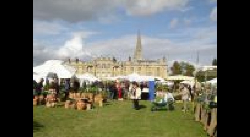 PARC DU CHATEAU DE VERSIGNY