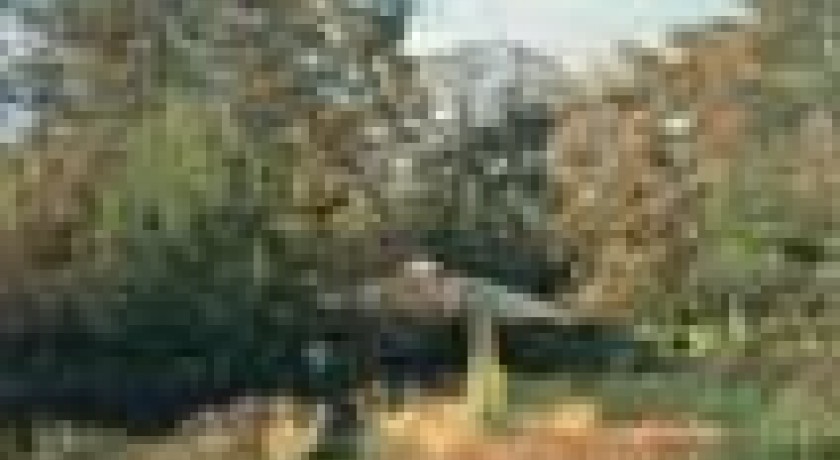 Parc floral de Paris