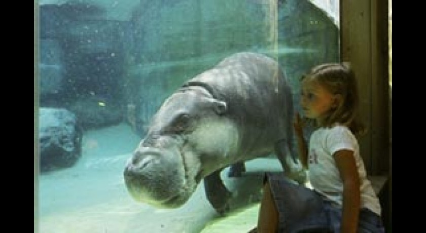 PARC ZOOLOGIQUE DE DOUE LA FONTAINE
