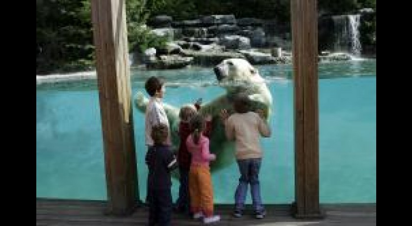 PARC ZOOLOGIQUE DE LA FLECHE