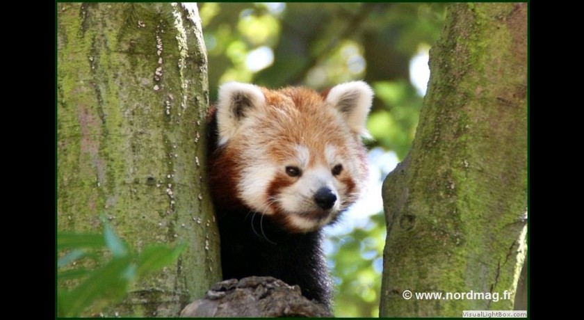 Parc zoologique du Bois de Boulogne à Lille