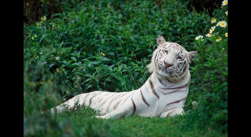 Parc zoologique du Calvados