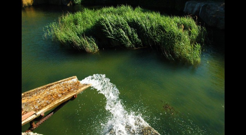 Pisciculture du pont de caylus, parcours de pêche