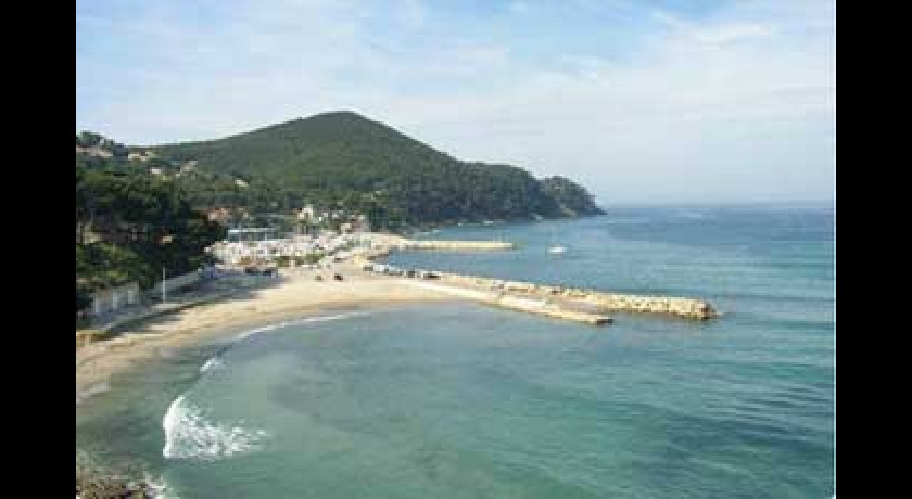 Plage La Madrague Saint Cyr Sur Mer Tourisme