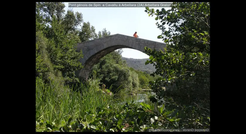Pont génois de Spin' a Cavallu à Arbellara (2A)