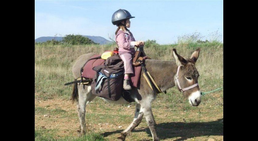 Promenades à dos d'âne pour les enfants