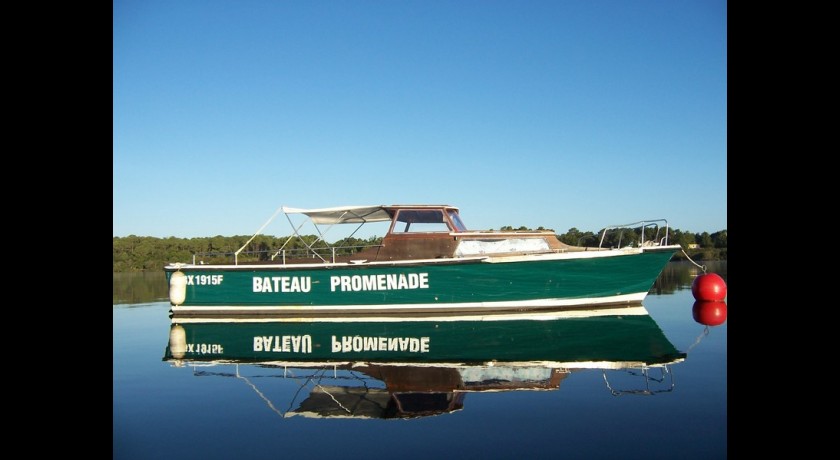 Promenades en bateau