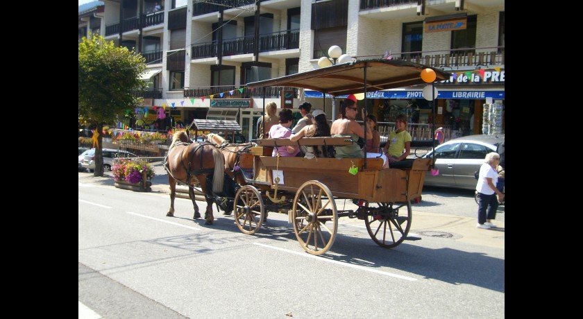 PROMENADES EN CALECHE