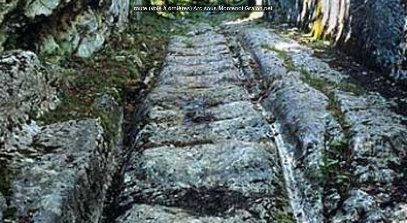 route (voie à ornières)