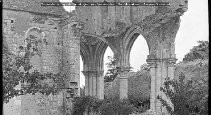 Ruines de l'abbaye de Fontainejean (ou Fontaine-Jean)