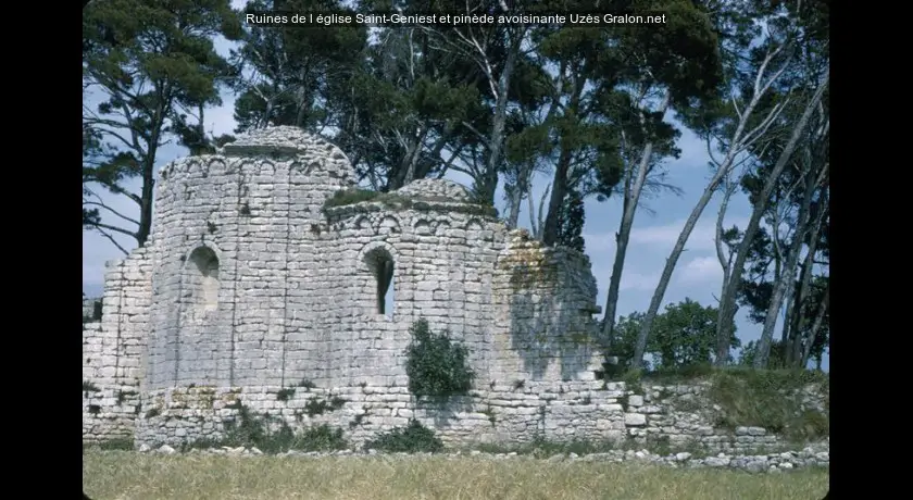 Ruines de l'église Saint-Geniest et pinède avoisinante