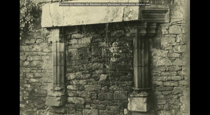 Ruines du château de Mesléan (ou Mezléan)